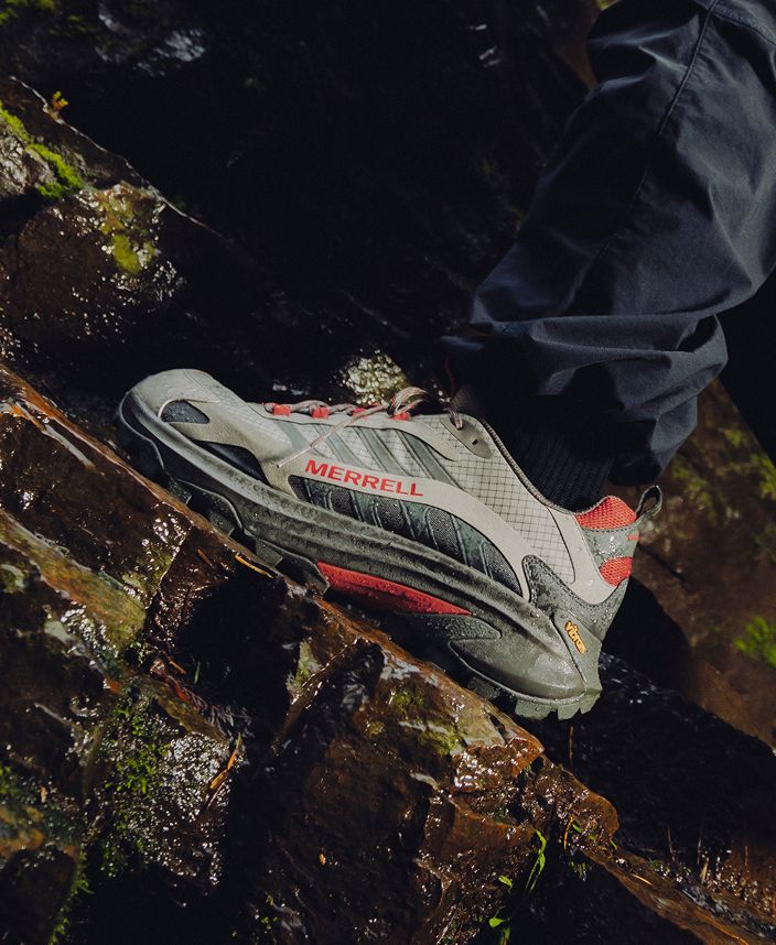 Hiking shoes